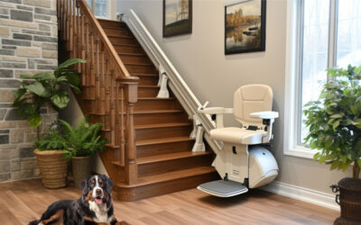 Stairlift Safety with your furry friends